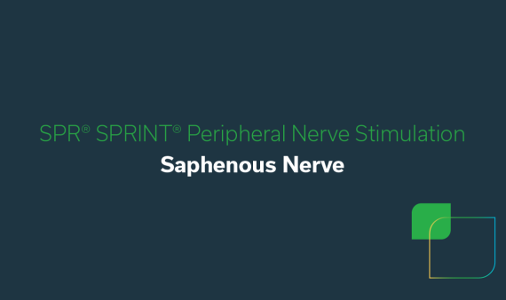Saphenous Nerve video thumbnail